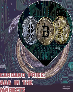 Ada crypto value