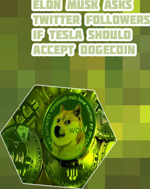 Dogecoin europe United States