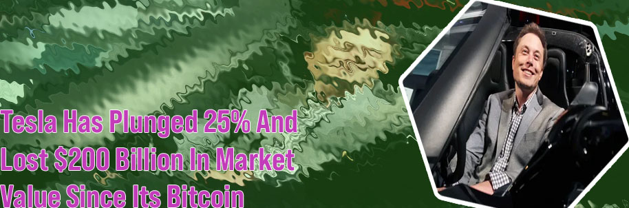 Elon tesla btcponcianoforbes