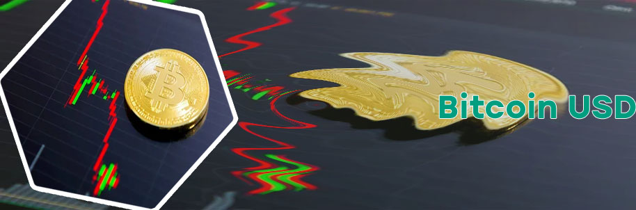 Price bitcoin
