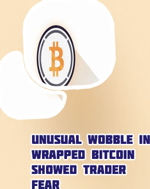 Wrapped btc vs btc